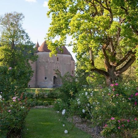 Chateau D'Ainay-Le-Vieil Luaran gambar