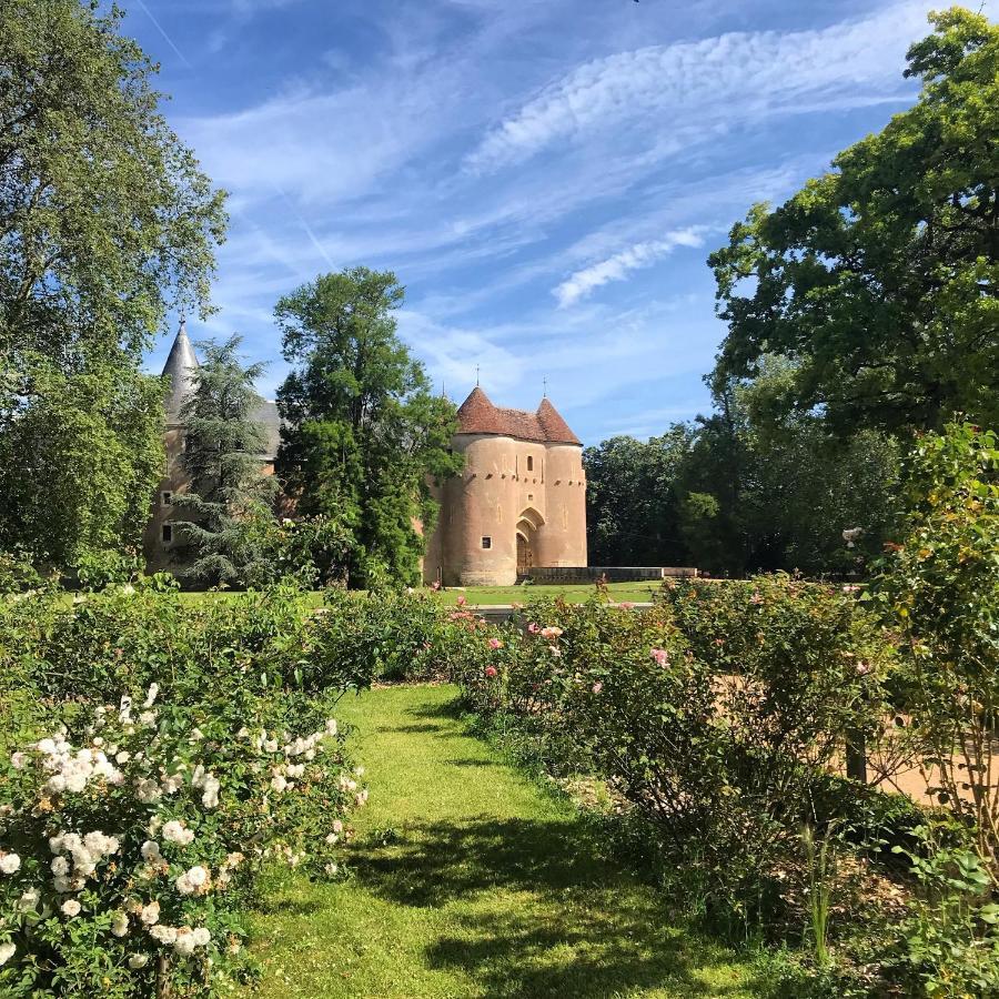 Chateau D'Ainay-Le-Vieil Luaran gambar